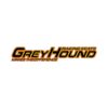 Greyhound